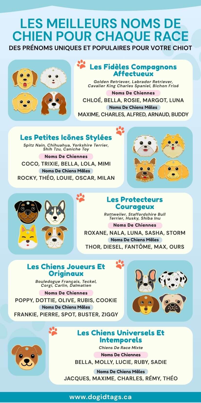 Noms de chiens populaires par race, idéaux pour médailles personnalisées, médailles gravées et médailles d’identification.
